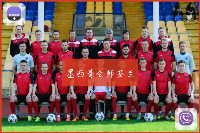 墨西哥会师芬兰