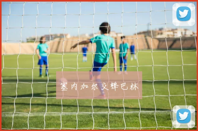 塞内加尔交锋巴林