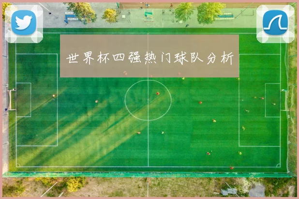 世界杯四强热门球队分析